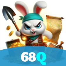 68Q visual
