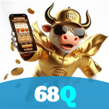 68Q visual