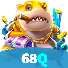 68Q visual