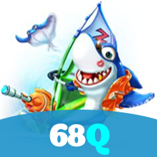 68Q visual