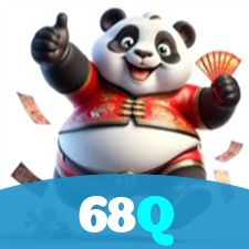 68Q visual