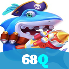 68Q visual