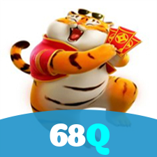 68Q visual