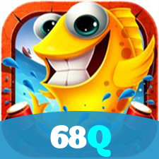 68Q visual