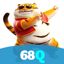 68Q visual