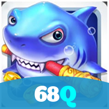 68Q visual