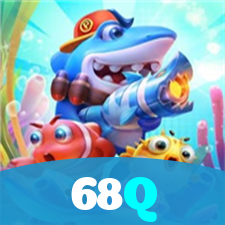 68Q visual