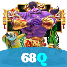 68Q visual