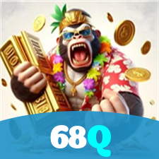 68Q visual