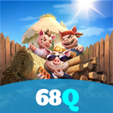 68Q visual