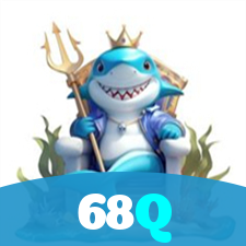 68Q visual
